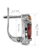 Женские Серьги_Серебро .925_ГРАНАТ_Нанокристалл_2-Лазурит-Онлайн